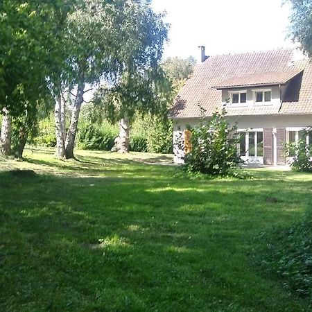 Villa - Coulommiers - Parcs Des Felins - Provins Beautheil-Saints Exterior foto