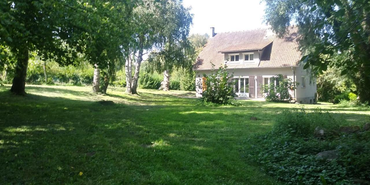 Villa - Coulommiers - Parcs Des Felins - Provins Beautheil-Saints Exterior foto
