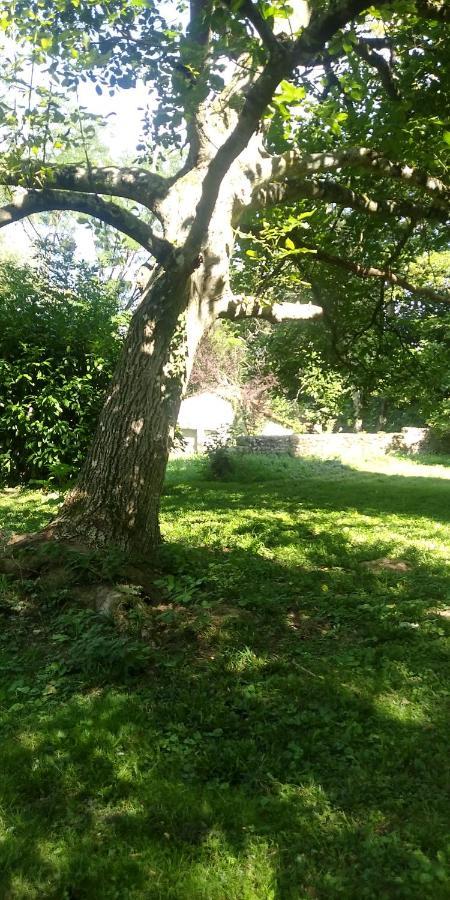 Villa - Coulommiers - Parcs Des Felins - Provins Beautheil-Saints Exterior foto