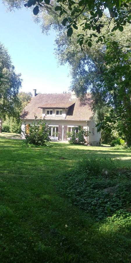 Villa - Coulommiers - Parcs Des Felins - Provins Beautheil-Saints Exterior foto