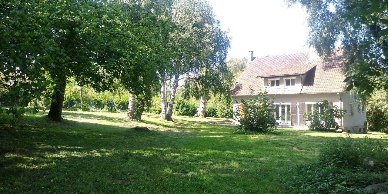 Villa - Coulommiers - Parcs Des Felins - Provins Beautheil-Saints Exterior foto