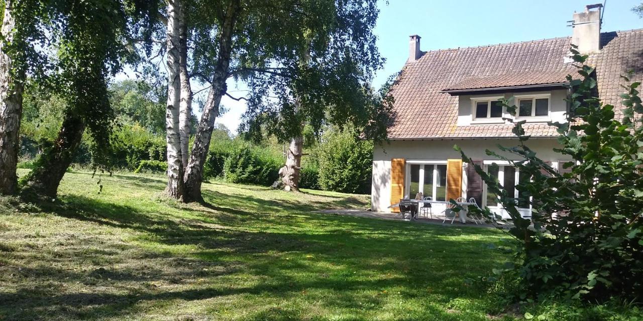 Villa - Coulommiers - Parcs Des Felins - Provins Beautheil-Saints Exterior foto