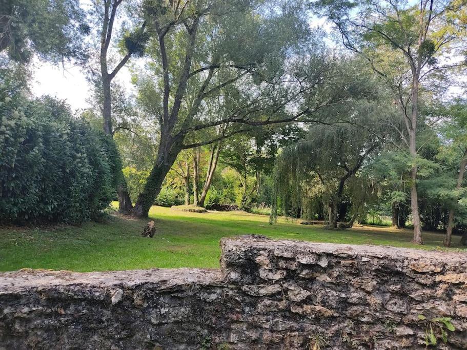 Villa - Coulommiers - Parcs Des Felins - Provins Beautheil-Saints Exterior foto