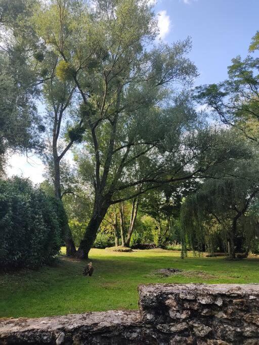 Villa - Coulommiers - Parcs Des Felins - Provins Beautheil-Saints Exterior foto